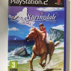 Springdale PS2 - pikkukuva 1
