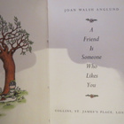 Joan Anglund: A Friend Is Someone Who Likes You - pikkukuva 2