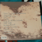 PINTANDWEFALL ~ Time Is Right For Romans, Baby ~ LP - pikkukuva 2
