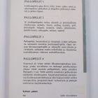 Jukka Wuolio : Pallopelit 1 : Pelkistetyt säännöt ja peli... - pikkukuva 2