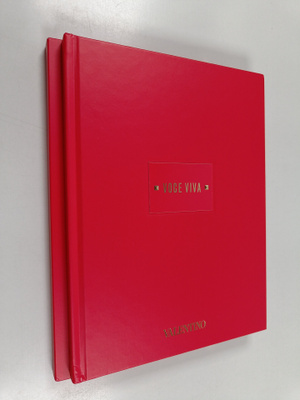 Valentino : Voce viva
