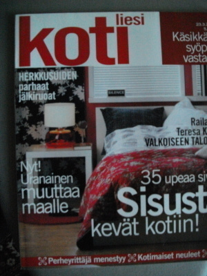 Kotiliesi Nro 6/2004 (6.3)