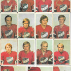 Erä Panda 1972 Jääkiekko, n. 100 erilaista - pikkukuva 2