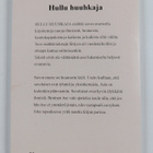 Viktor Kärki : Hullu huuhkaja - pikkukuva 2