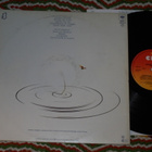 POOH - Buona Fortuna - LP 1981 italia pop rock EX - pikkukuva 2