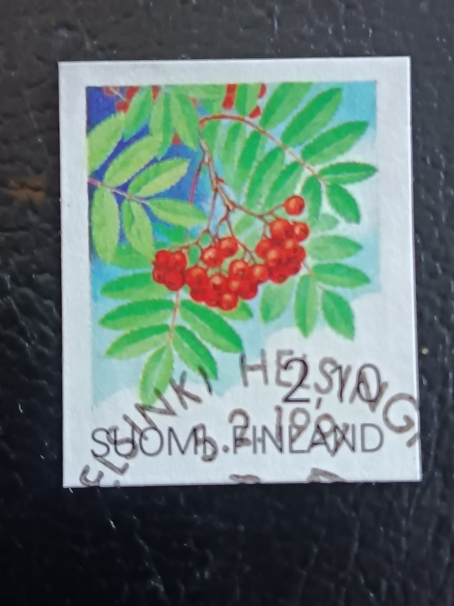 -81 Pihlaja EP-Leimalla
