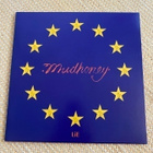Mudhoney LiE LP - pikkukuva 1