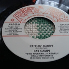 Ray Campi sinkku - pikkukuva 1