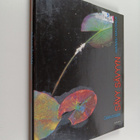 Hannu Hautala : Sävy sävyyn Colourscape (signeerattu) - pikkukuva 1