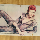 David Bowie juliste + Curiosity Killed the Cat juliste  - pikkukuva 1