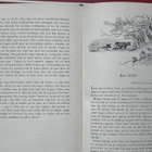 Gilbert White: Naturen i Selborne - pikkukuva 3