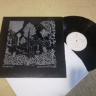 DEAD CAN DANCE - Garden Of The Arcane Delights 12" - pikkukuva 1