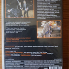 Katsastus (1988) DVD - pikkukuva 2