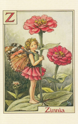Cicely Mary Barker: Asterin keiju, kirjain Z