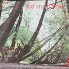 Fat Mattress 1969 LP Noel Redding + Clonakilty Cowboys - pikkukuva 1