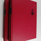 Leo Tolstoi : Anna Karenina 1-2 - pikkukuva 1