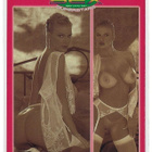 1997 Hot Shots Galaxy of Sex Superstars #41 Brittany Andrews - pikkukuva 2