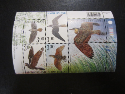 1999 BL23 Suviyön lintuja **