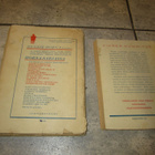 outsider - vihreä kummitus & merirosvolaivurin aarre 1944/51 - pikkukuva 2