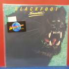 BLACKFOOT - MARAUDER EX+/EX+ GER -81 PRESS LP - pikkukuva 1