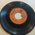7"  Lynn Andersson Rose garden - pikkukuva 2