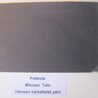VANHA Postikortti Lieto Pokkola 1920-l - pikkukuva 3