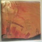 22 PISTEPIRKKO - BARE BONE NEST M-/EX+ SUOMI 1992 LP - pikkukuva 2
