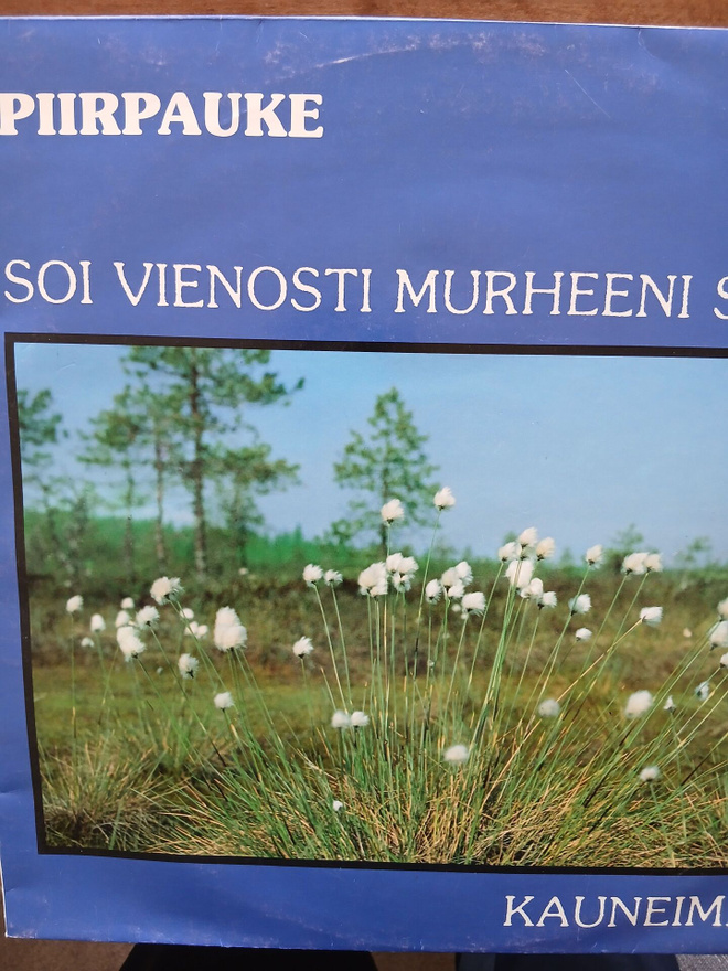 Piirpauke : Soi vienosti murheeni soitto.