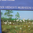 Piirpauke : Soi vienosti murheeni soitto. - pikkukuva 1