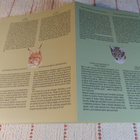 LUONTO ELÄÄ POSTIMERKEISSÄ KANSIO - pikkukuva 4