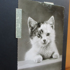 1959 Sveitsi lunastuskortti Hkiin - pikkukuva 2
