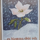 Käthe Norborg: Jouluruusu lumessa, runo, p. 1953 - pikkukuva 1
