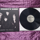 THE CHARITY CASE - HOW TO FALL - pikkukuva 1
