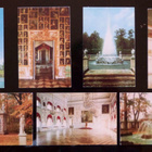 PETRO - DVORETS RISEN FROM THE ASHES * 16 KPL * 1979 - pikkukuva 3