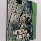 Asgeir Helgestad : Metsän lintuja - pikkukuva 1