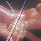 Ohio Players - Honey (LP, 1975, Gatefold, USA-painos) - pikkukuva 4