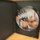 KILLERS/KATHERINE HEIGL,ASHTON KUTCHER DVD - pikkukuva 3