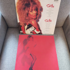 Tina Turner - Break every rule - LP (1986) - pikkukuva 2