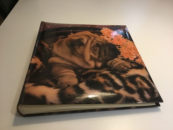 Valokuva-albumi , 50 kartonkilehteä . Kannessa mopsi