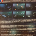 Deep Ocean Experience 3D blu-ray - pikkukuva 2