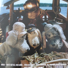 KARVAKUONOT DVD - pikkukuva 1