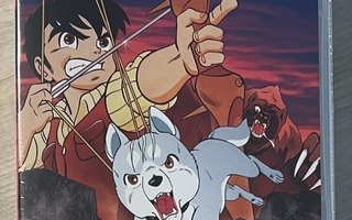 Hopeanuoli (5DVD) Leikkaamaton versio! (UUSI)