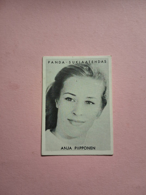 Panda. Anja Piipponen