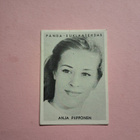 Panda. Anja Piipponen - pikkukuva 1