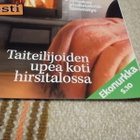 OSAAVA KODINRAKENTAJA NRO 10 /2008 - pikkukuva 5