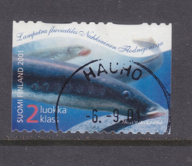 2001 2 lk kala loistoleimalla
