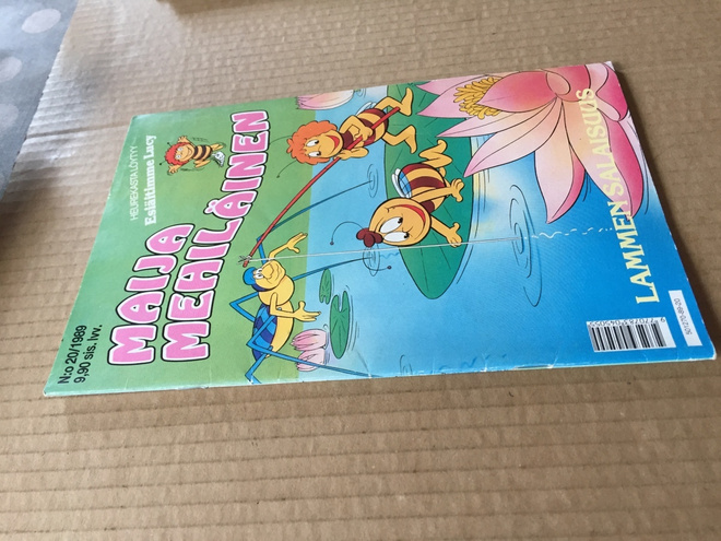 MAIJA MEHILÄINEN 20/1989 HYVÄ