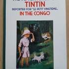 Tintti: The Adventures of Tintin in the Congo - pikkukuva 1