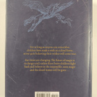 Chris Riddell : Guardians of magic - pikkukuva 2