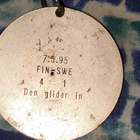 Den glider in ice hockey medal - pikkukuva 2